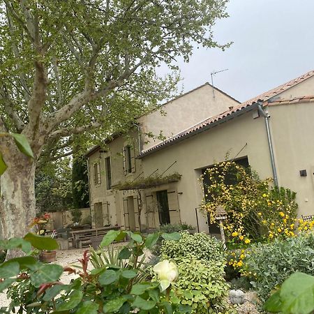 Gite Du Mas De La Finiere ,Avec Spa Interieur Châteaurenard Eksteriør billede